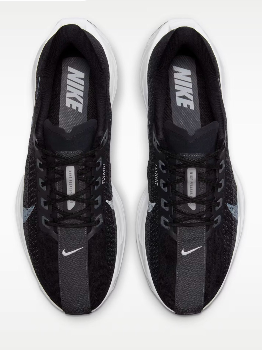 Nike Pegasus Plus Training Shoes